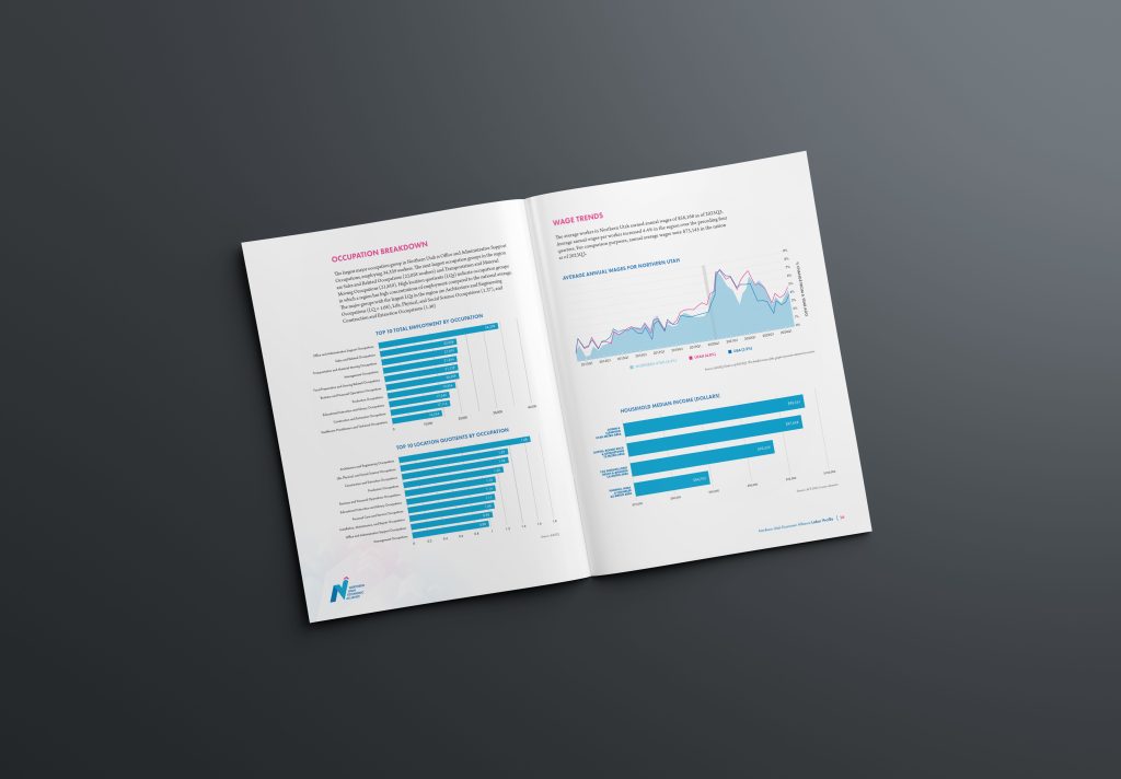 NUEA_Labor-Profile-graphs